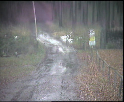 Nástup na běžecké tratě