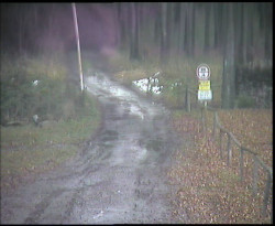 Nástup na běžecké tratě