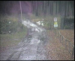 Nástup na běžecké tratě