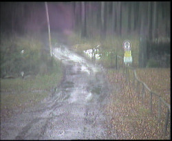 Nástup na běžecké tratě