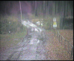 Nástup na běžecké tratě