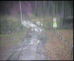 Nástup na běžecké tratě