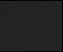 Nástup na běžecké tratě