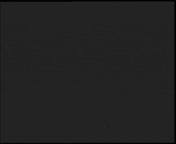 Nástup na běžecké tratě