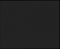 Nástup na běžecké tratě