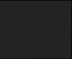 Nástup na běžecké tratě