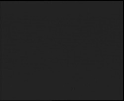 Nástup na běžecké tratě