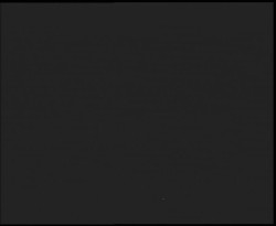 Nástup na běžecké tratě