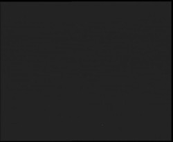 Nástup na běžecké tratě