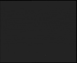 Nástup na běžecké tratě