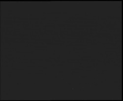 Nástup na běžecké tratě