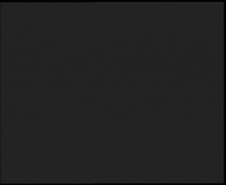 Nástup na běžecké tratě