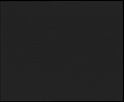 Nástup na běžecké tratě