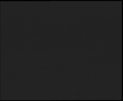 Nástup na běžecké tratě