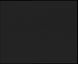 Nástup na běžecké tratě