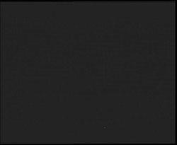 Nástup na běžecké tratě