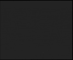 Nástup na běžecké tratě