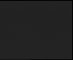 Nástup na běžecké tratě