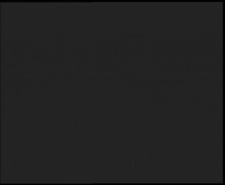 Nástup na běžecké tratě