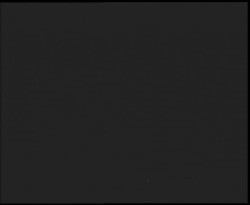 Nástup na běžecké tratě