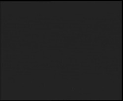 Nástup na běžecké tratě