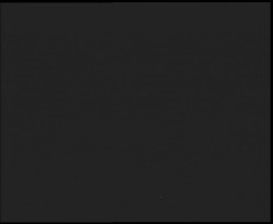 Nástup na běžecké tratě