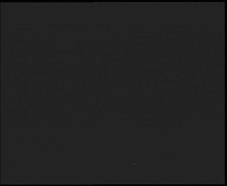 Nástup na běžecké tratě