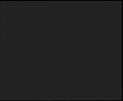 Nástup na běžecké tratě