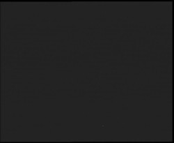 Nástup na běžecké tratě