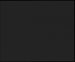 Nástup na běžecké tratě