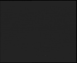 Nástup na běžecké tratě