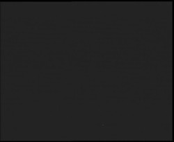 Nástup na běžecké tratě