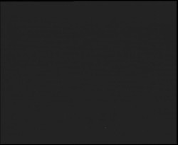 Nástup na běžecké tratě