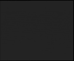 Nástup na běžecké tratě