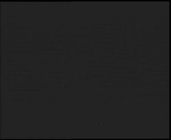 Nástup na běžecké tratě