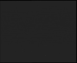 Nástup na běžecké tratě