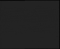 Nástup na běžecké tratě