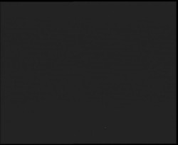 Nástup na běžecké tratě