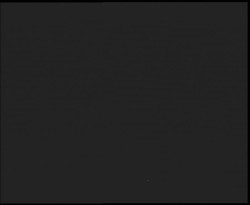 Nástup na běžecké tratě