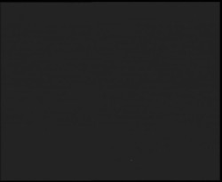 Nástup na běžecké tratě