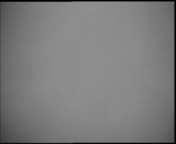 Nástup na běžecké tratě