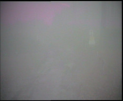 Nástup na běžecké tratě