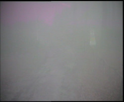 Nástup na běžecké tratě