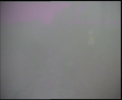 Nástup na běžecké tratě