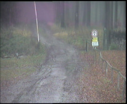 Nástup na běžecké tratě