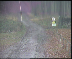 Nástup na běžecké tratě