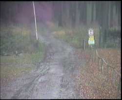 Nástup na běžecké tratě