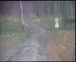 Nástup na běžecké tratě