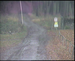 Nástup na běžecké tratě