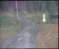 Nástup na běžecké tratě